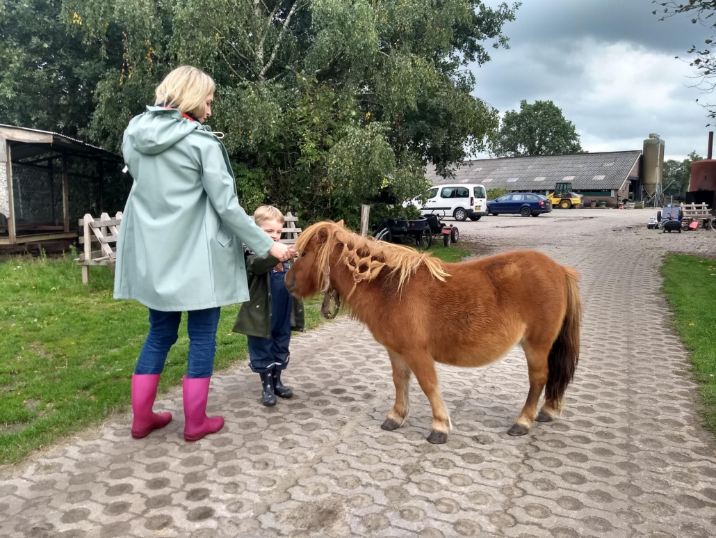 koe in de kost - logeren bij de boer